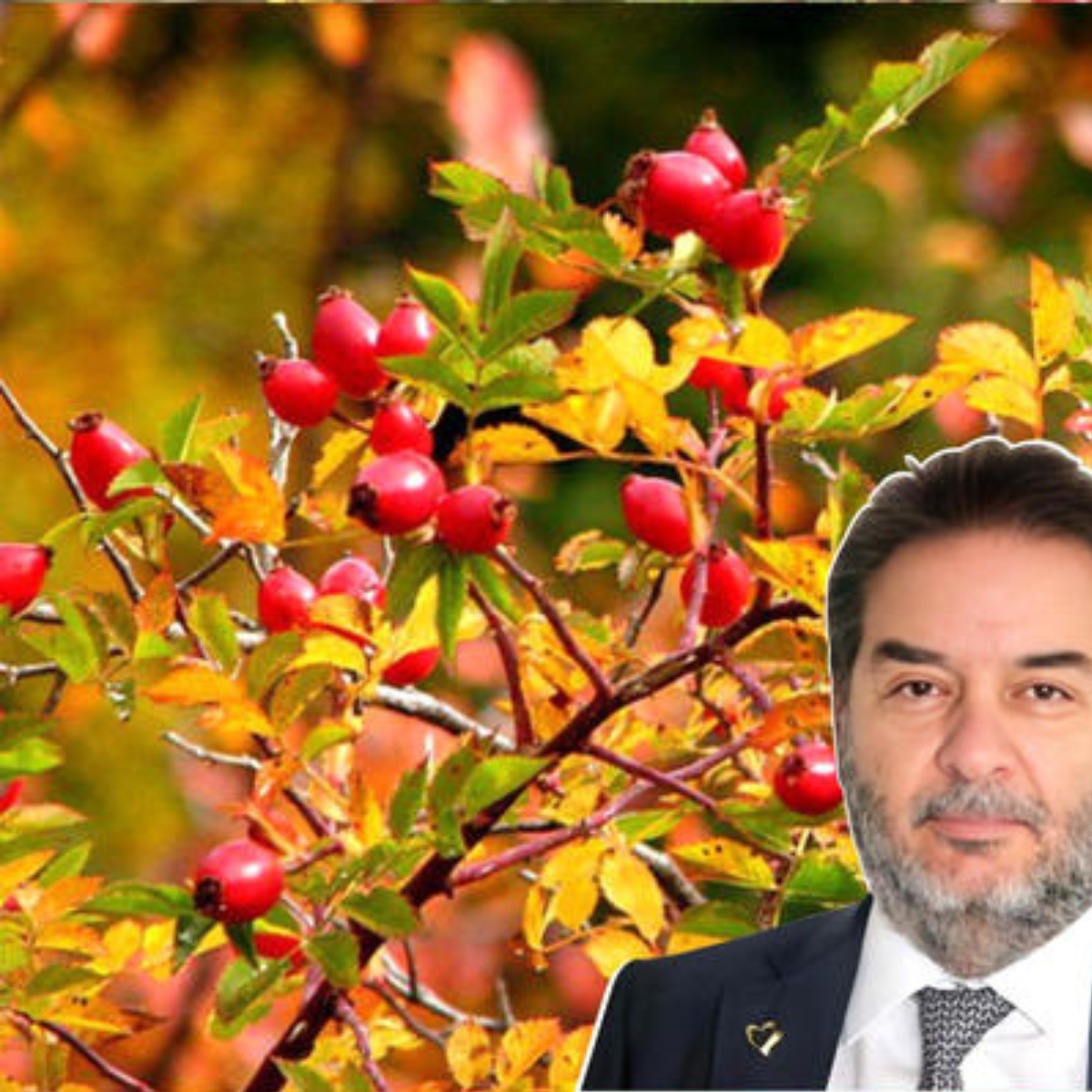 Капсулы Artrosalud